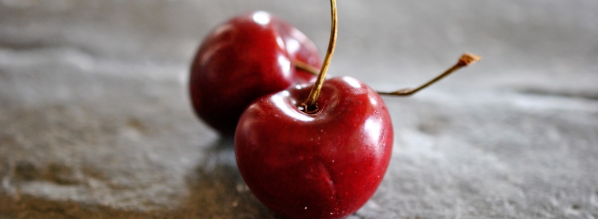 Services de nutrition professionnels